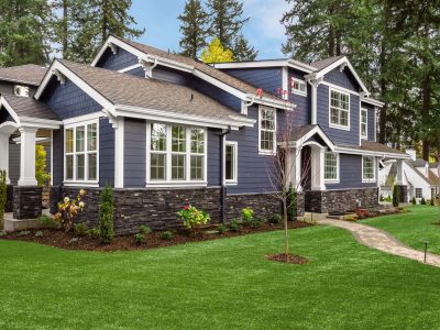 Blue House Fake Grass Yard 1