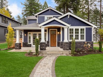 Blue House Fake Grass Yard