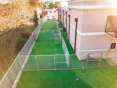 Doggy Daycare Turf 1