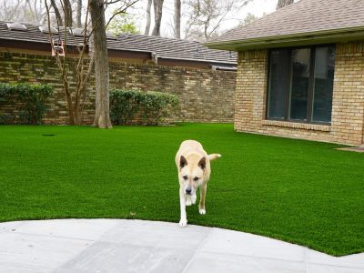 Pet Turf Landscaping