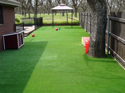 Pet Turf in Dog Run